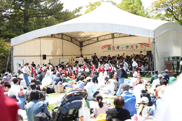 DSC04687.jpg